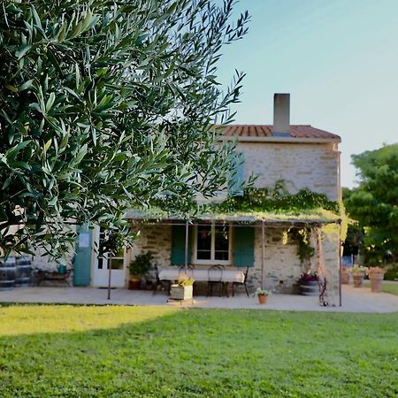 Maison De Margot Peyriac-Minervois Dış mekan fotoğraf