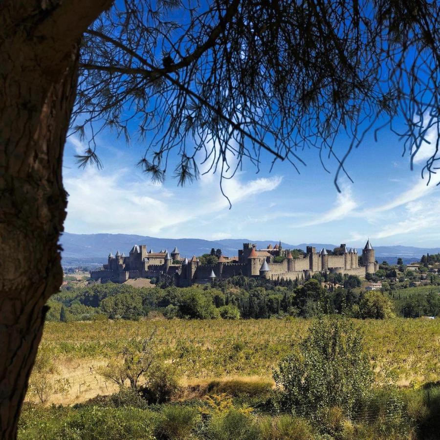Maison De Margot Peyriac-Minervois Dış mekan fotoğraf