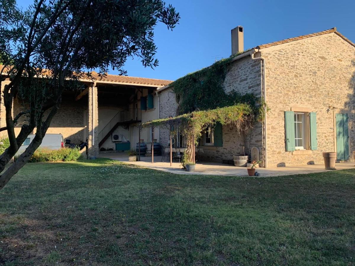 Maison De Margot Peyriac-Minervois Dış mekan fotoğraf
