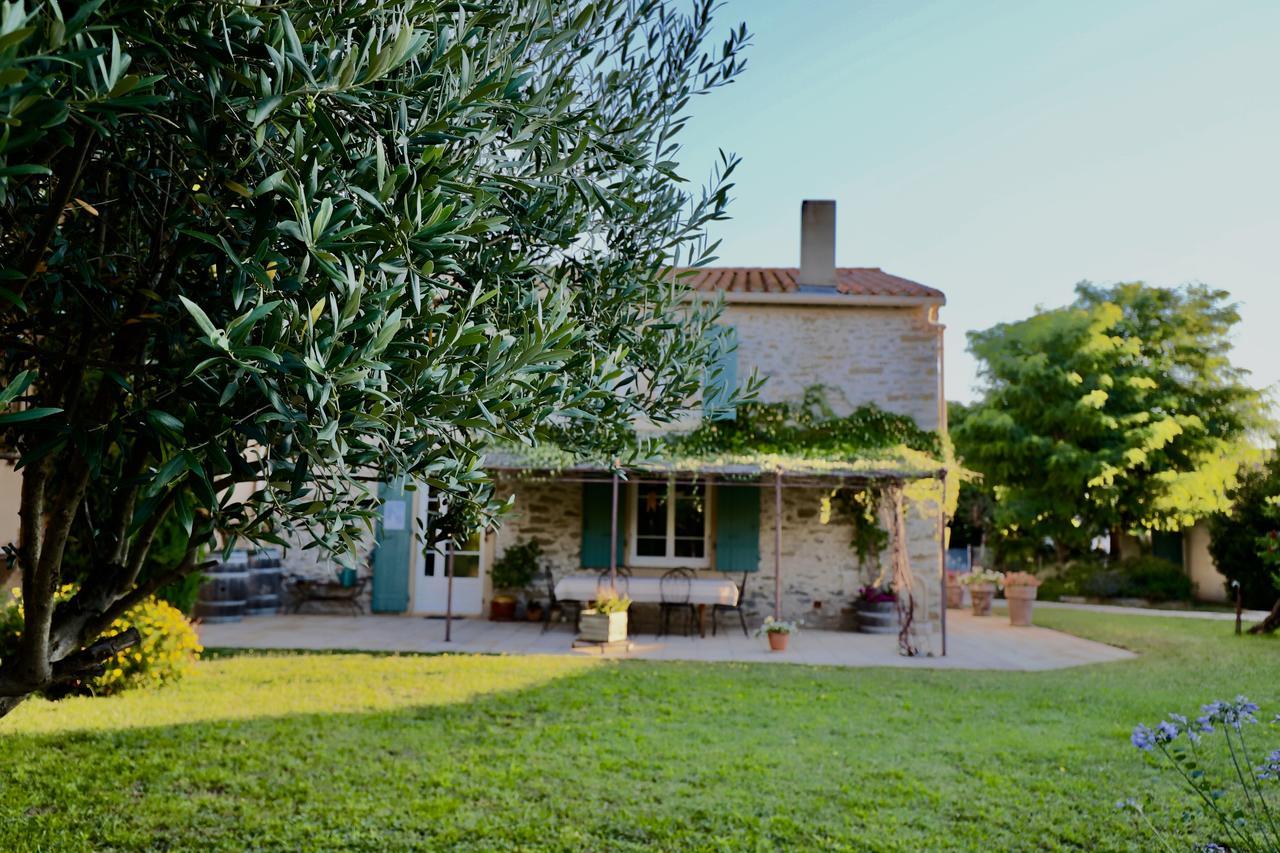 Maison De Margot Peyriac-Minervois Dış mekan fotoğraf