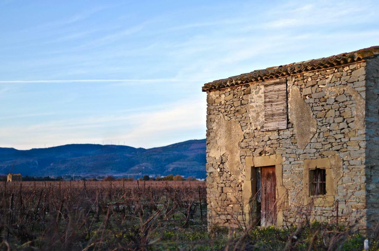 Maison De Margot Peyriac-Minervois Dış mekan fotoğraf